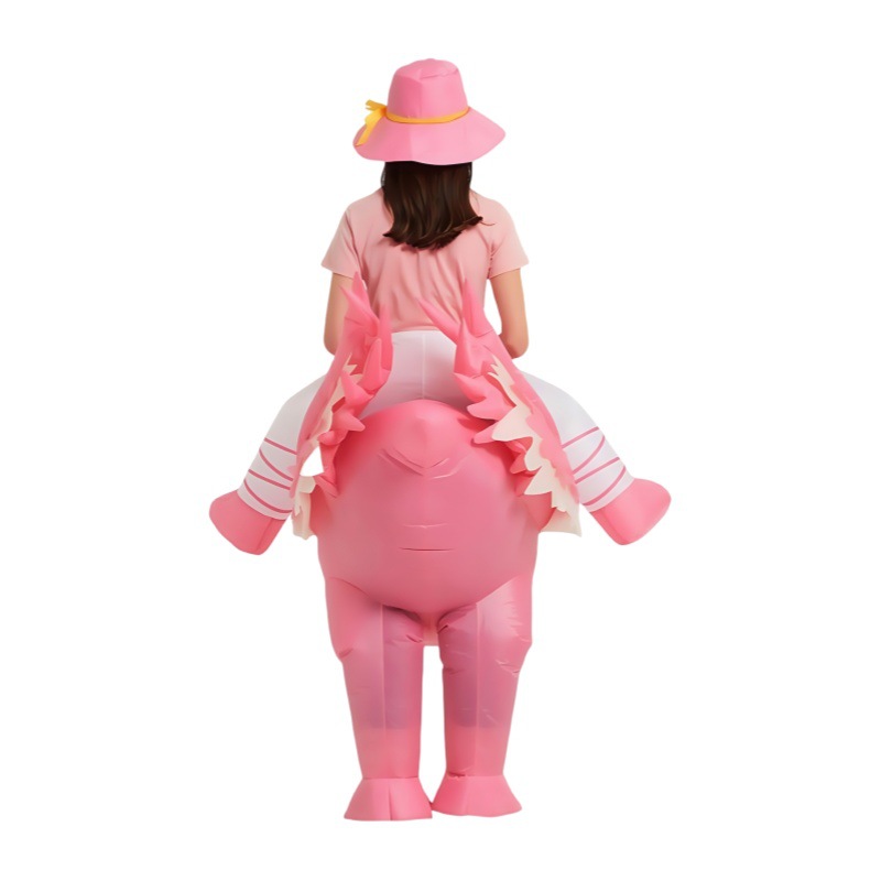 Costumes gonflables de flamant - Costumes avis et prix